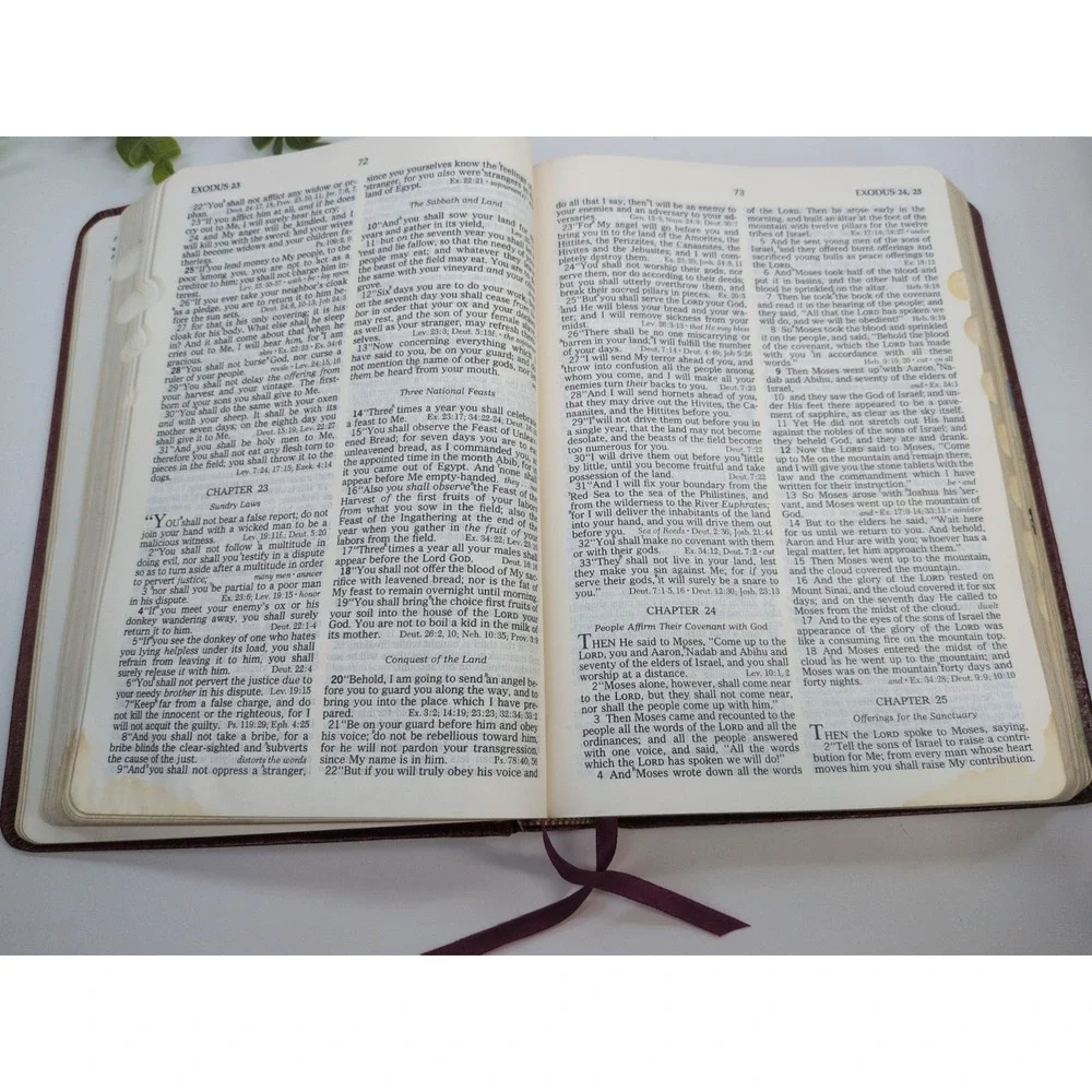 RARE 1979 LOCKMAN🚨The Open Bible Nelson Maroon Genuine Leather NASB Red Letter